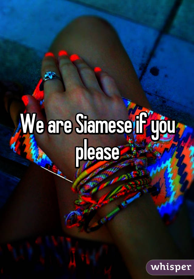 We are Siamese if you please