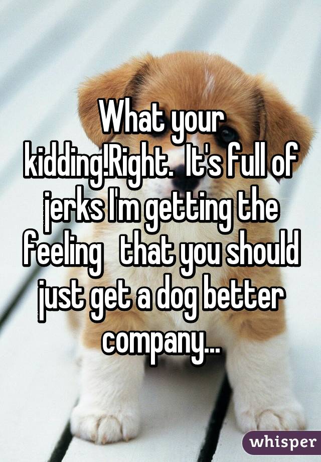 What your kidding!Right.  It's full of jerks I'm getting the feeling   that you should just get a dog better company...