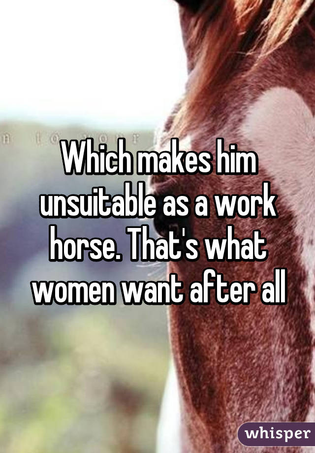 Which makes him unsuitable as a work horse. That's what women want after all