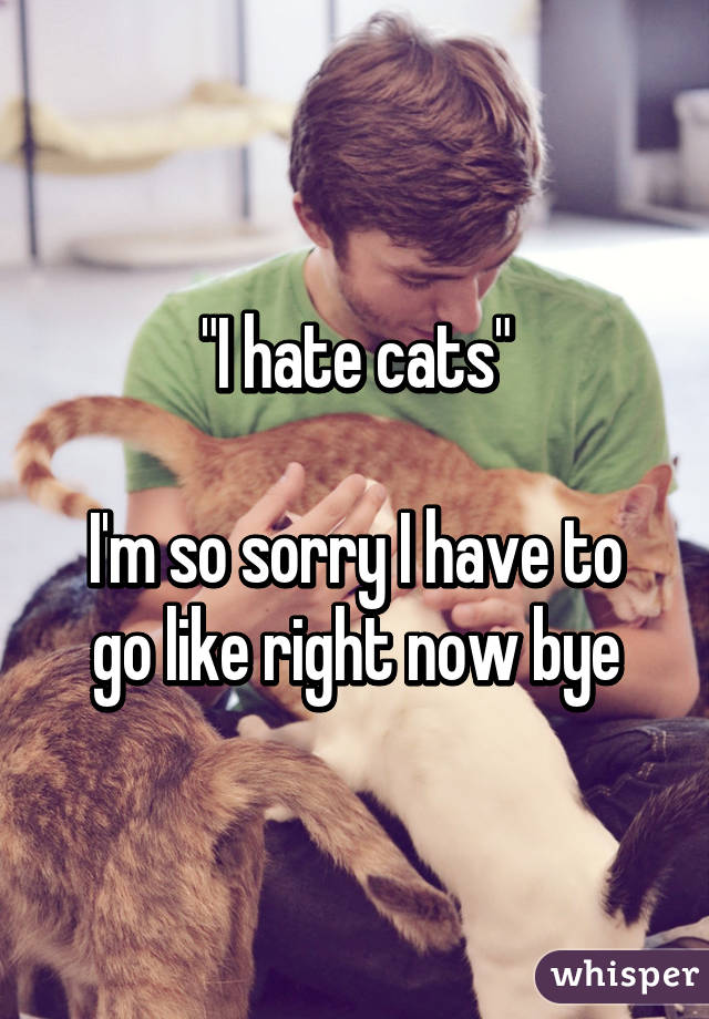 "I hate cats"

I'm so sorry I have to go like right now bye