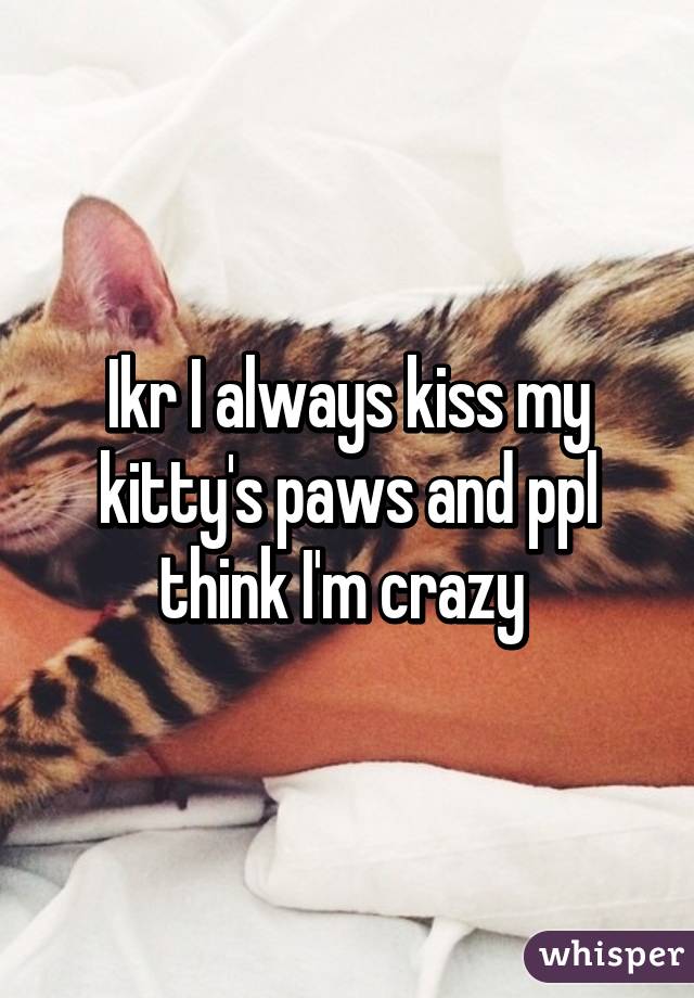 Ikr I always kiss my kitty's paws and ppl think I'm crazy 