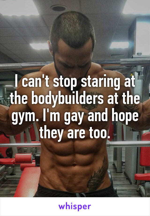 I can't stop staring at the bodybuilders at the gym. I'm gay and hope they are too.