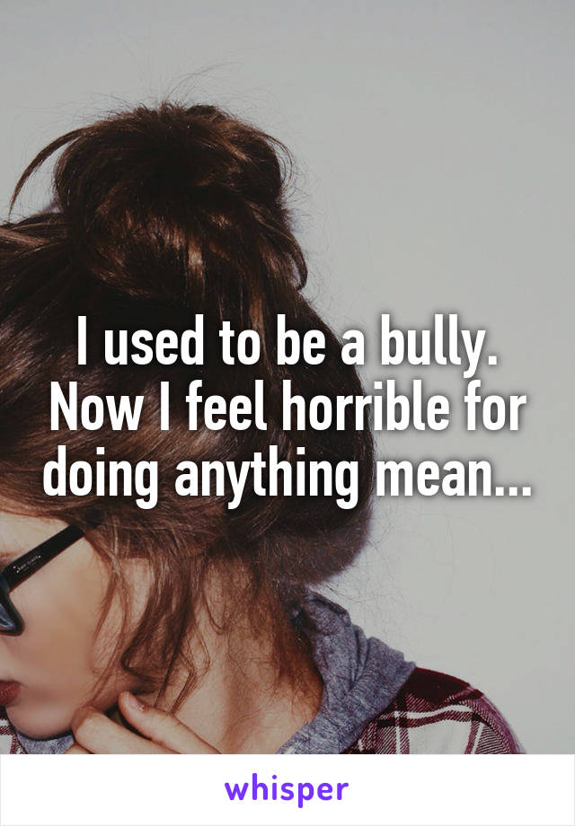 I used to be a bully. Now I feel horrible for doing anything mean...