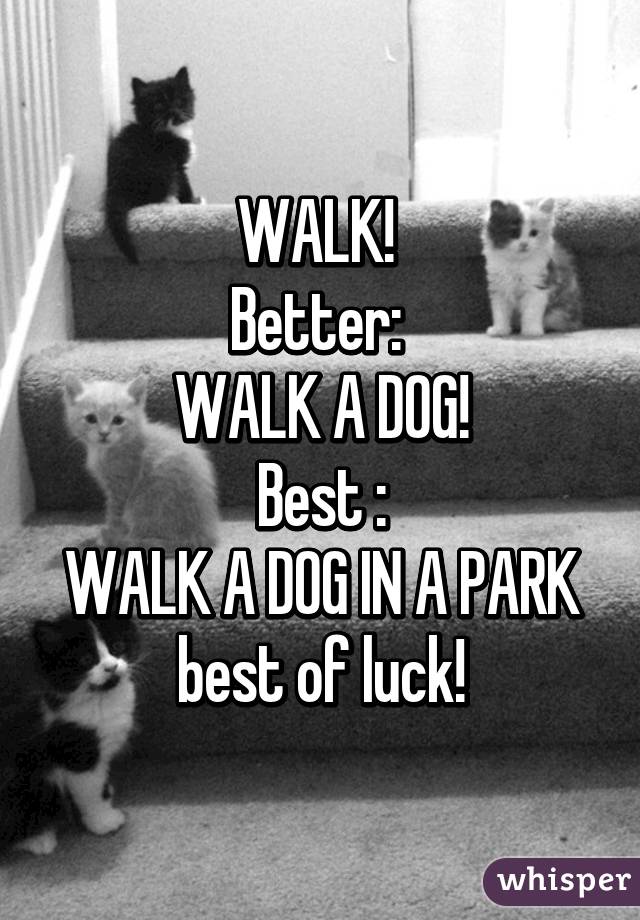WALK! 
Better: 
WALK A DOG!
Best :
WALK A DOG IN A PARK
best of luck!
