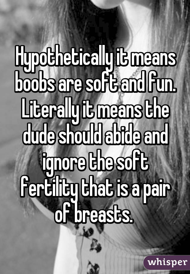 Hypothetically it means boobs are soft and fun. Literally it means the dude should abide and ignore the soft fertility that is a pair of breasts. 