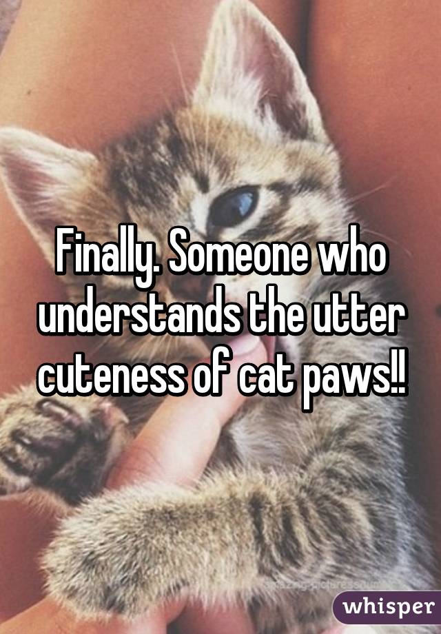 Finally. Someone who understands the utter cuteness of cat paws!!