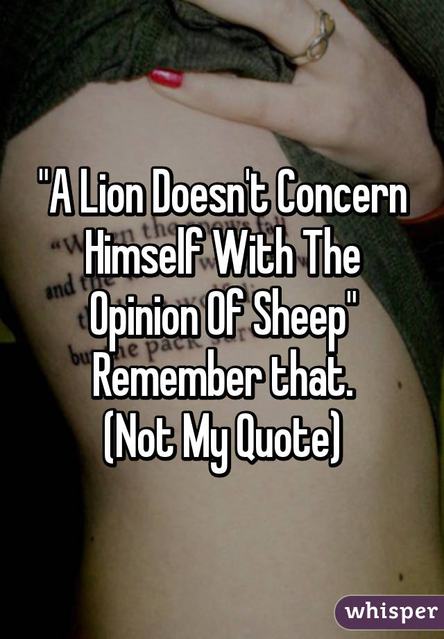 "A Lion Doesn't Concern Himself With The Opinion Of Sheep"
Remember that.
(Not My Quote)