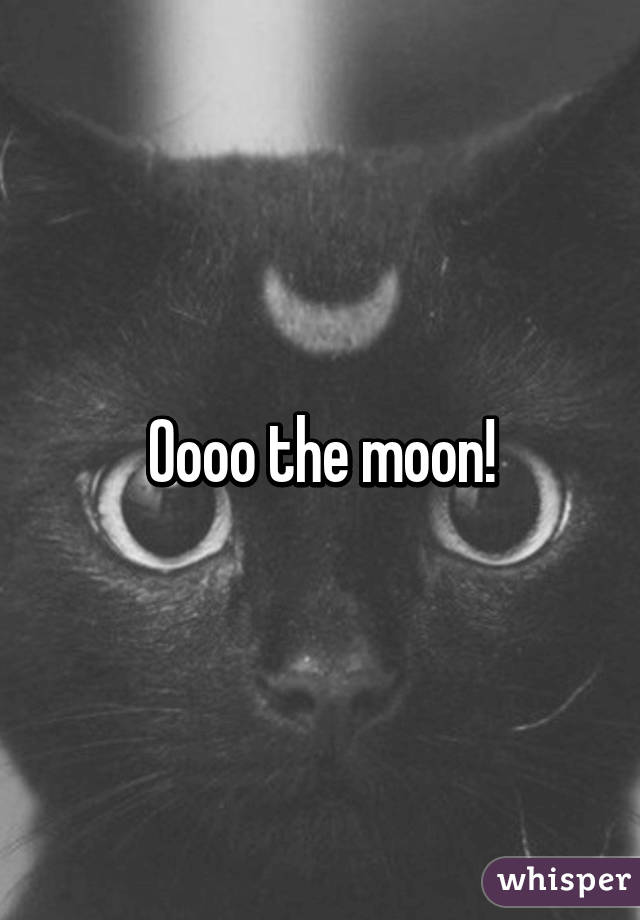Oooo the moon!