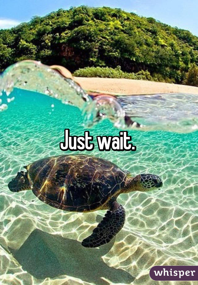 Just wait. 
