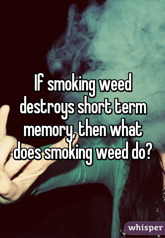 If smoking weed destroys short term memory, then what does smoking weed do?