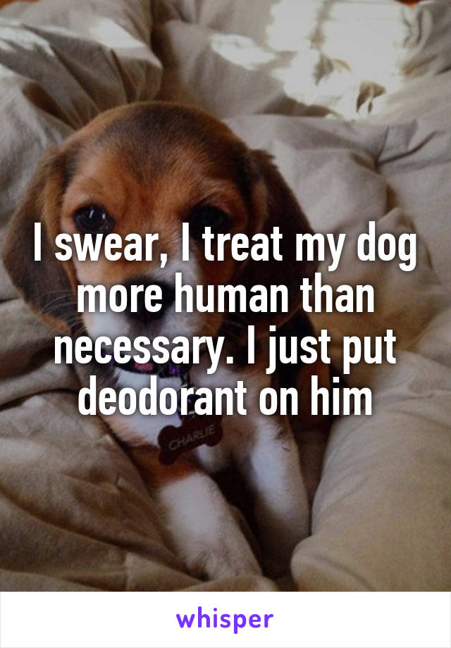 I swear, I treat my dog more human than necessary. I just put deodorant on him