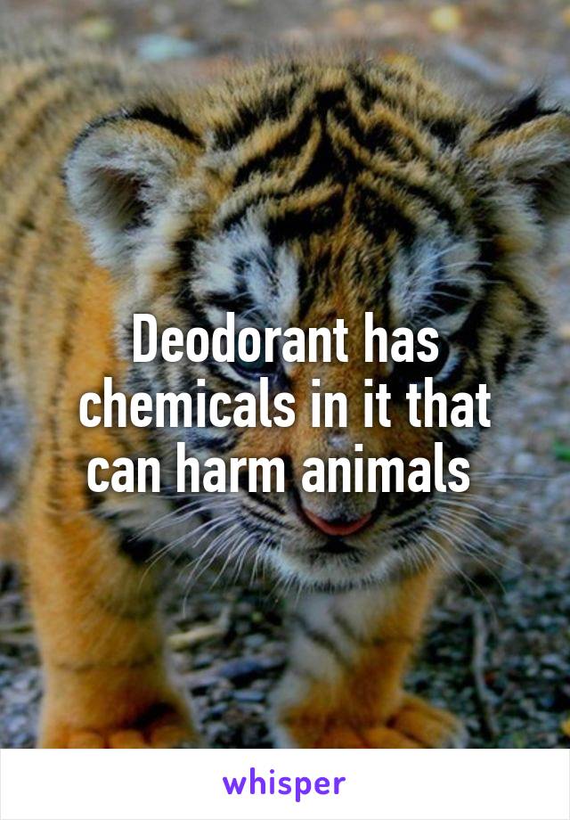 Deodorant has chemicals in it that can harm animals 