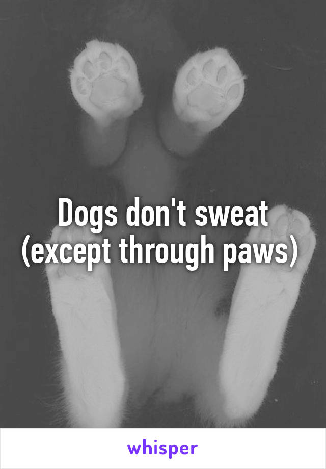Dogs don't sweat (except through paws) 