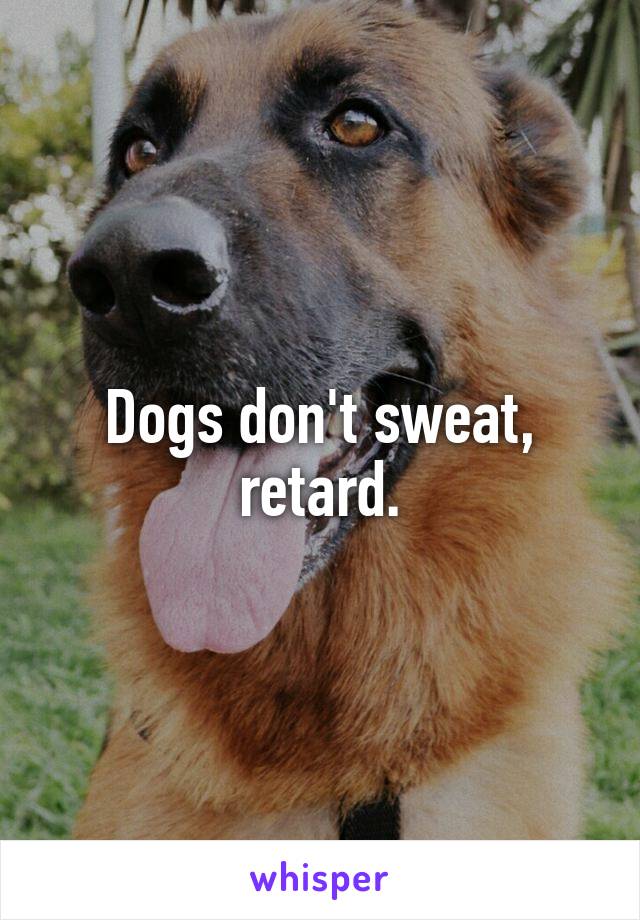 Dogs don't sweat, retard.