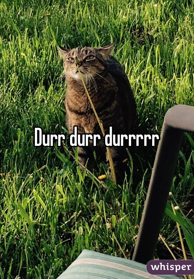 Durr durr durrrrr