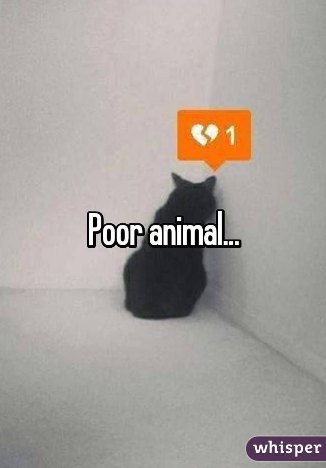 Poor animal...