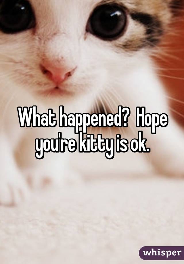 What happened?  Hope you're kitty is ok.