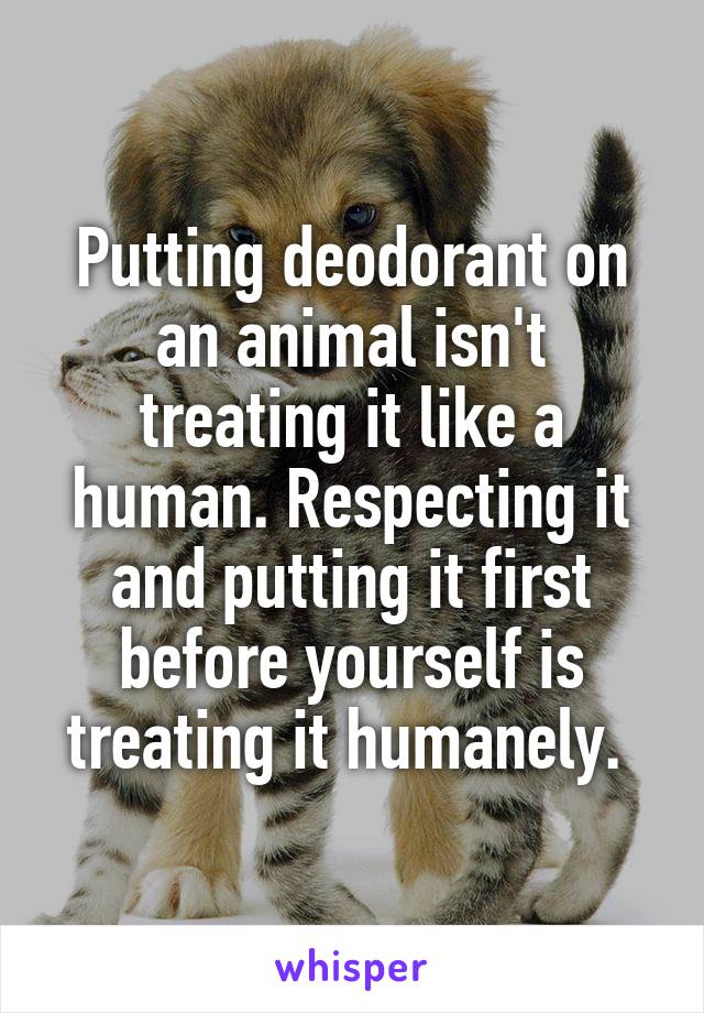 Putting deodorant on an animal isn't treating it like a human. Respecting it and putting it first before yourself is treating it humanely. 