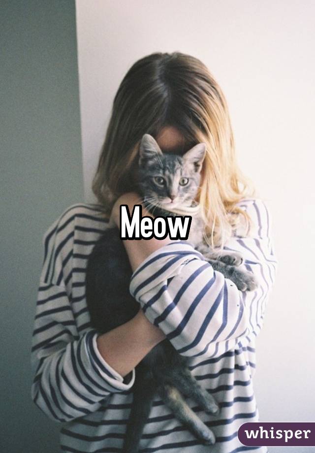 Meow 