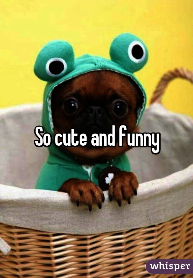 So cute and funny