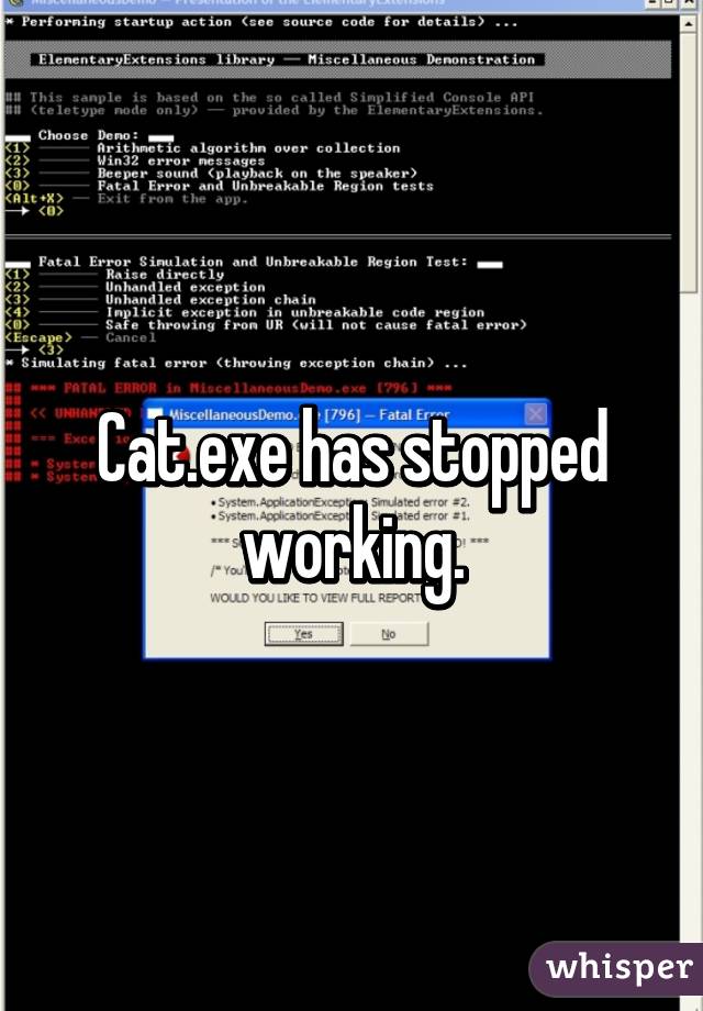 Cat.exe has stopped working.
