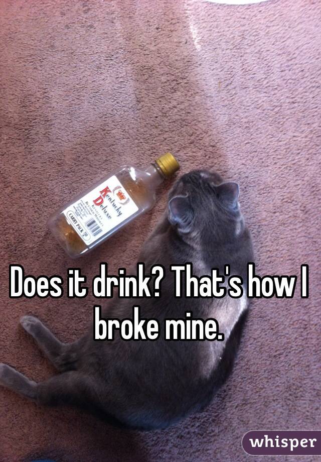 Does it drink? That's how I broke mine. 