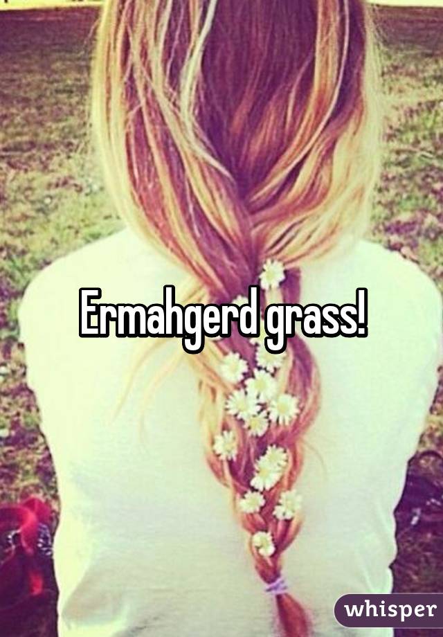 Ermahgerd grass!