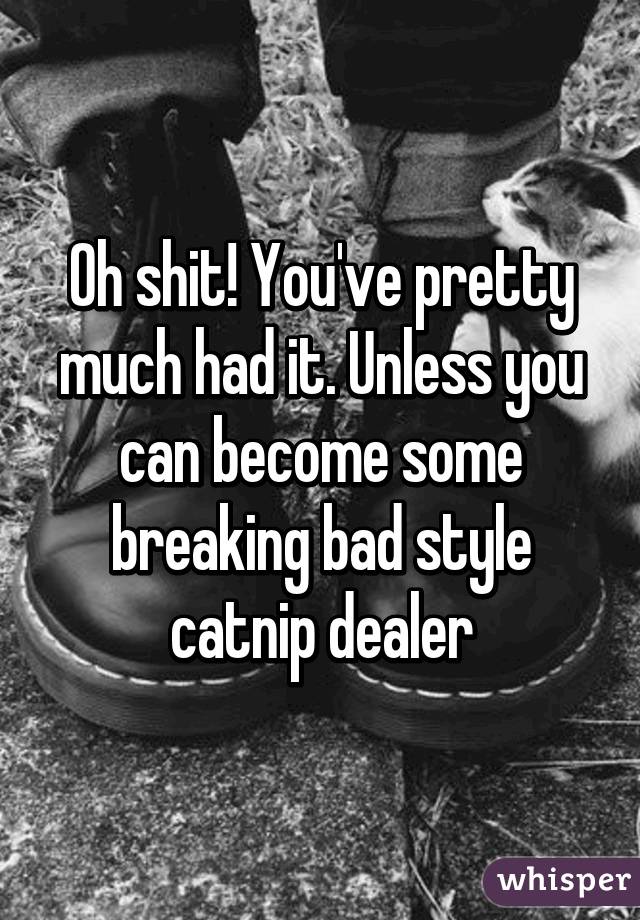 Oh shit! You've pretty much had it. Unless you can become some breaking bad style catnip dealer