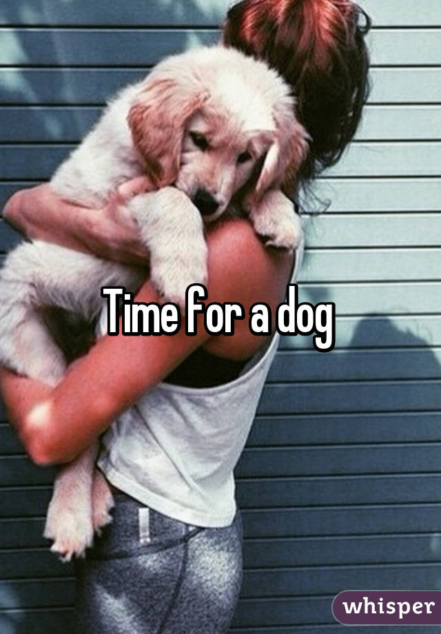 Time for a dog 