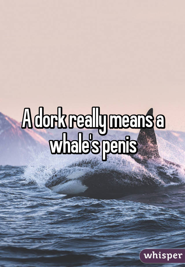 Dork Whales Penis 120