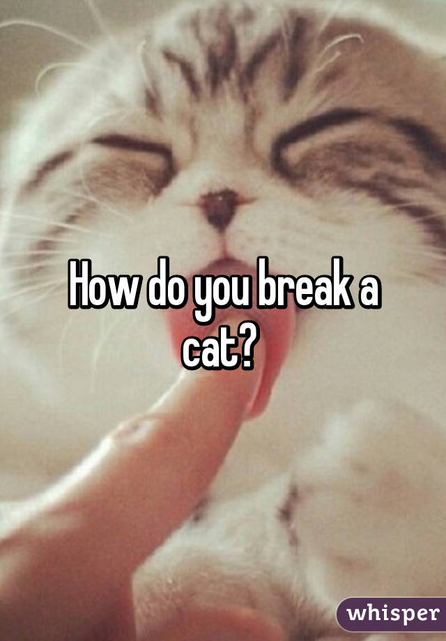 How do you break a cat? 