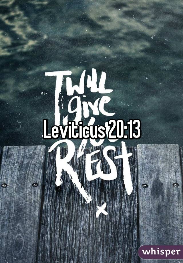 Leviticus 20:13