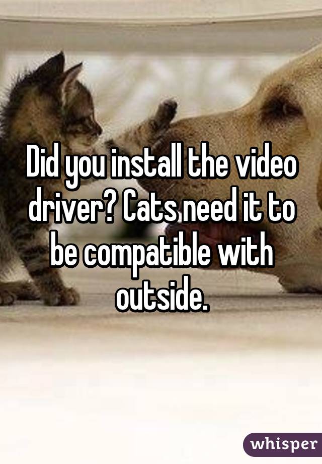 Did you install the video driver? Cats need it to be compatible with outside.