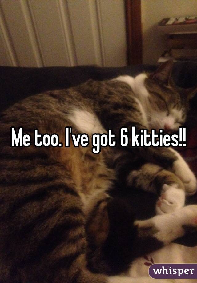 Me too. I've got 6 kitties!!