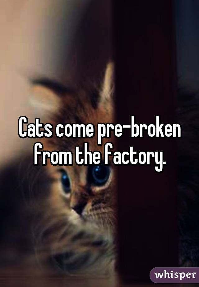 Cats come pre-broken from the factory.