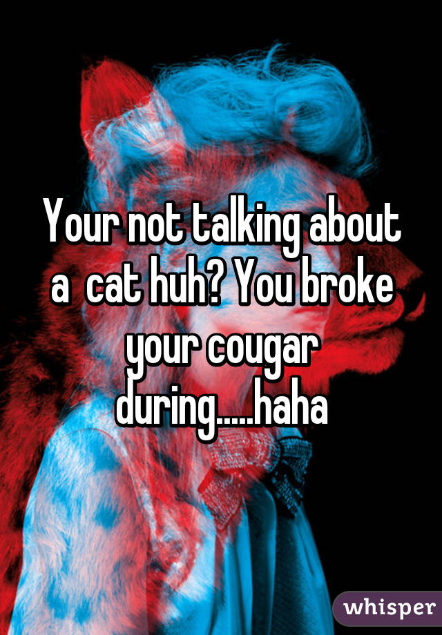 Your not talking about a  cat huh? You broke your cougar during.....haha