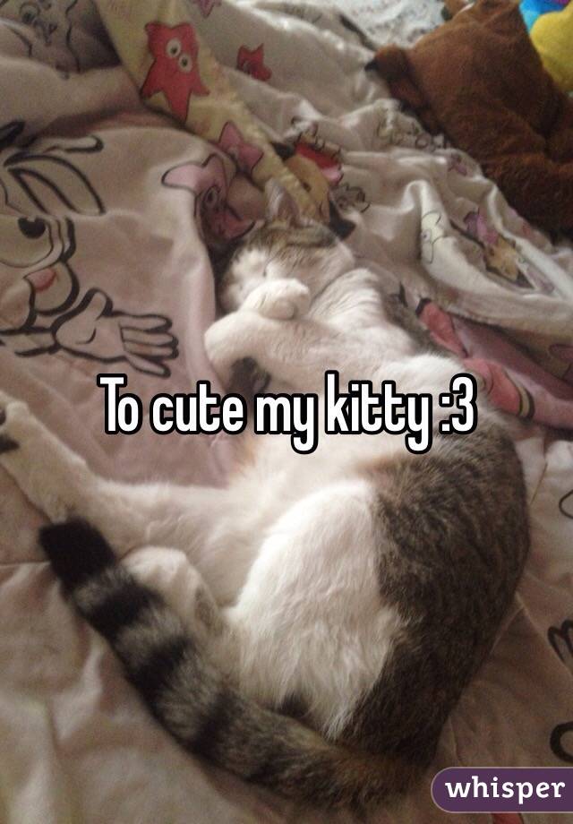 To cute my kitty :3 