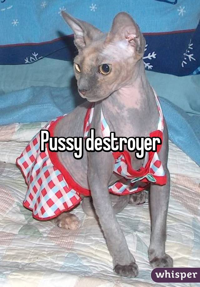 Pussy destroyer