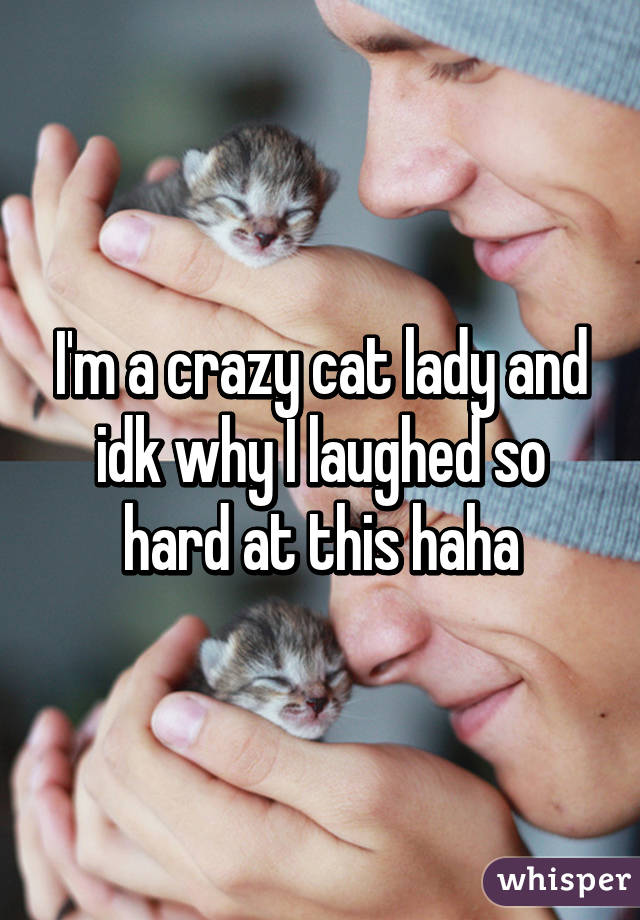 I'm a crazy cat lady and idk why I laughed so hard at this haha