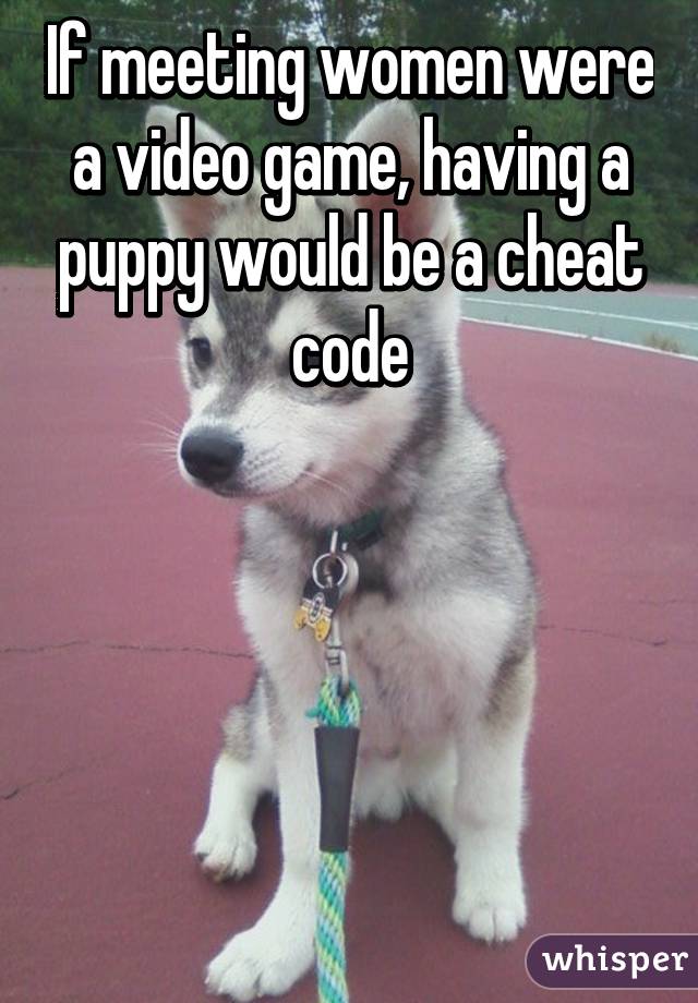 If meeting women were a video game, having a puppy would be a cheat code





