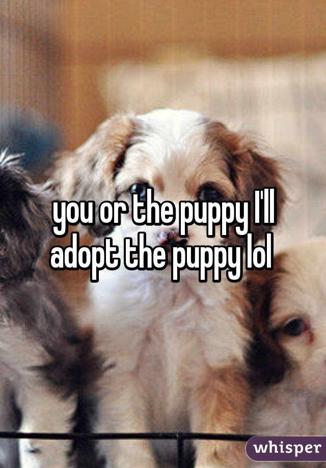 you or the puppy I'll adopt the puppy lol 