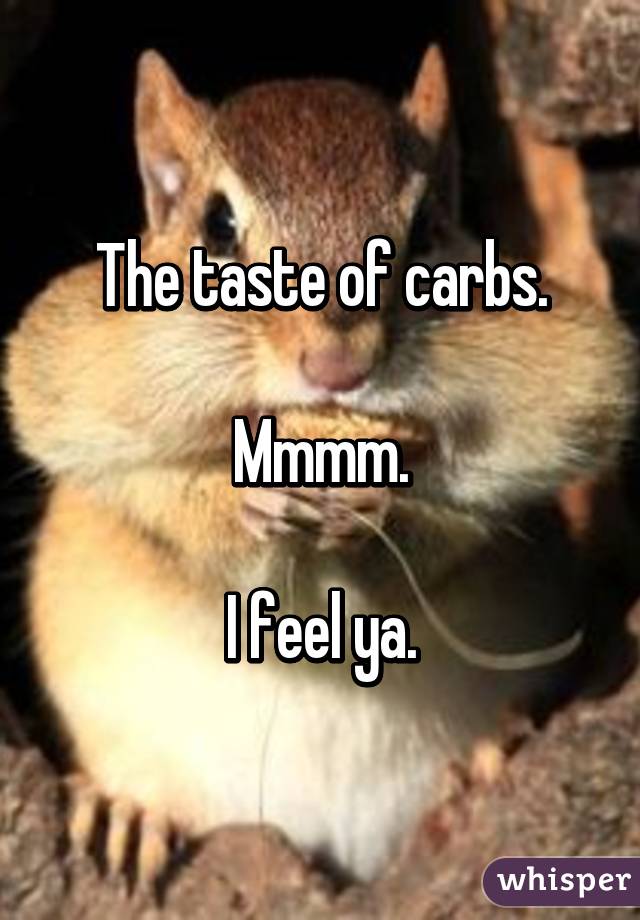 The taste of carbs.

Mmmm.

I feel ya.