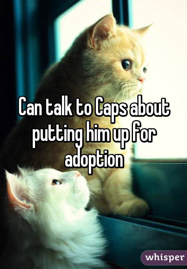 Can talk to Caps about putting him up for adoption