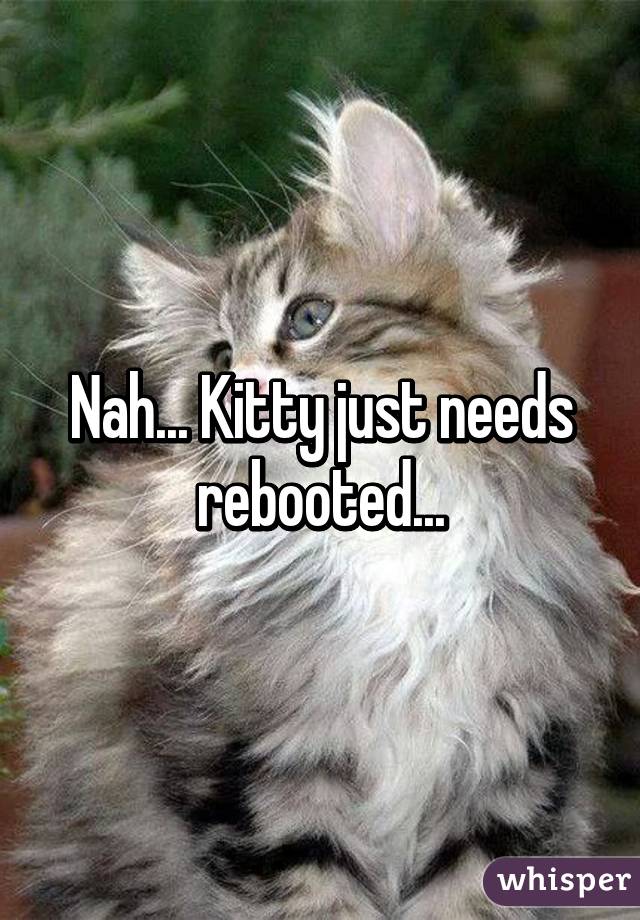 Nah... Kitty just needs rebooted...