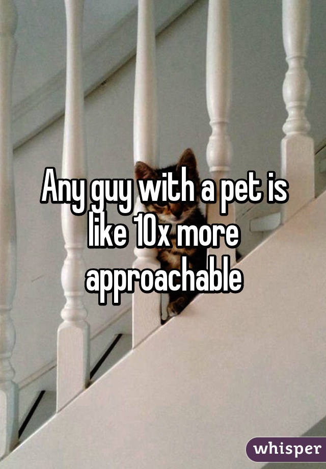 Any guy with a pet is like 10x more approachable