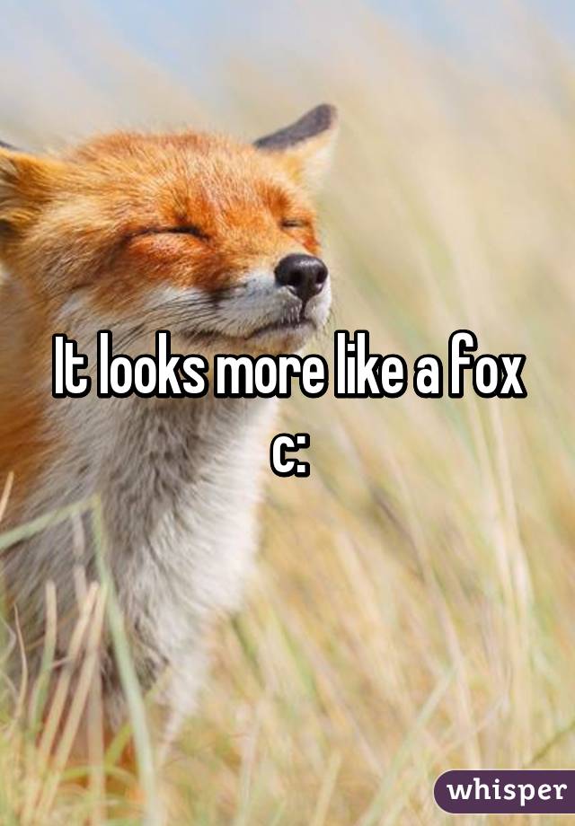 It looks more like a fox c: