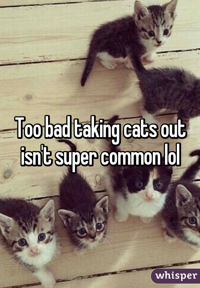 Too bad taking cats out isn't super common lol