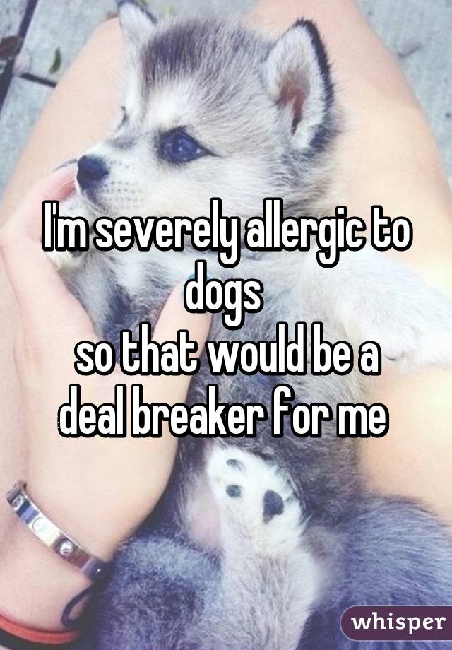 I'm severely allergic to dogs 
so that would be a deal breaker for me 