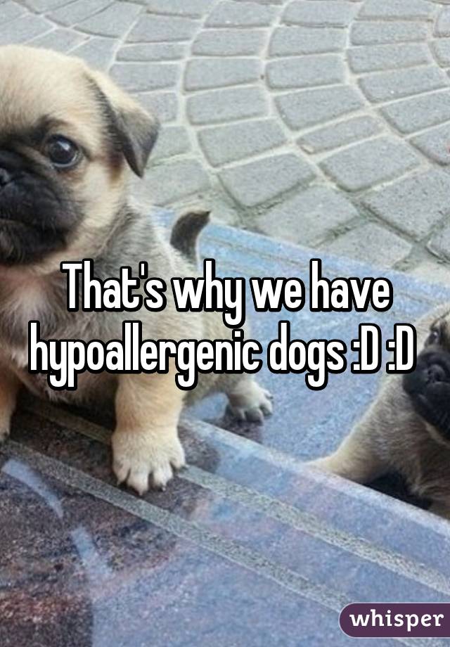 That's why we have hypoallergenic dogs :D :D 