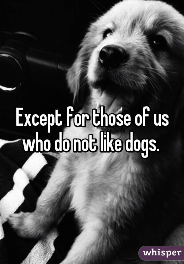 Except for those of us who do not like dogs. 